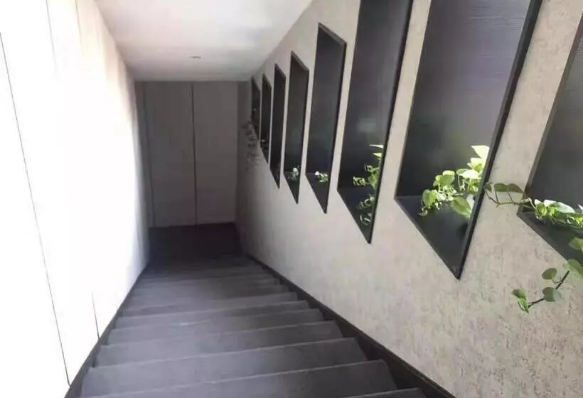 One Meter Sunshine Hotel Xi An Xianyang International Airport Flagship Store