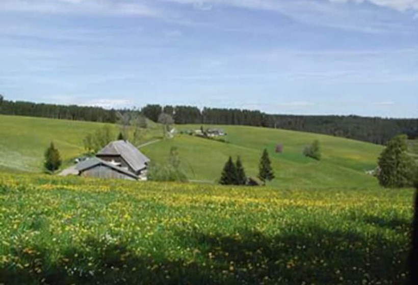 Bed and Breakfast Café Pension Feldbergblick