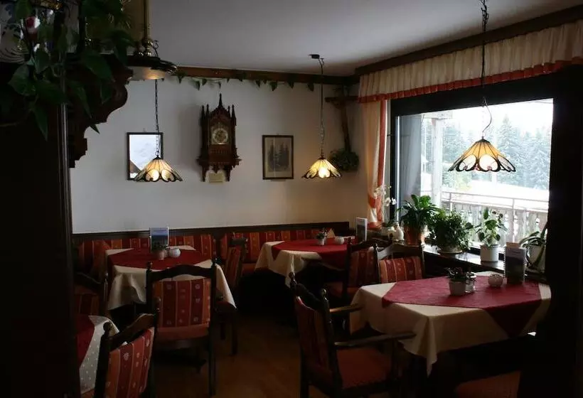 ベッドアンドブレックファースト Café Pension Feldbergblick