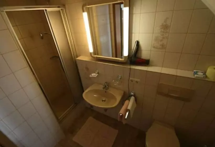 ベッドアンドブレックファースト Café Pension Feldbergblick