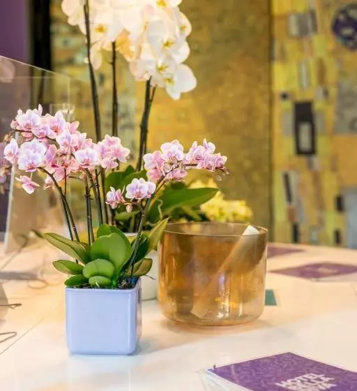 Отель Bella Riva