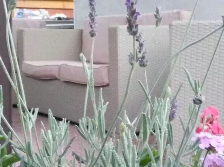 هتل Branca Ritamadre