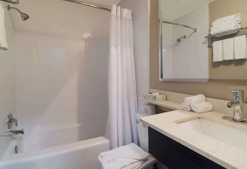 فندق Canadas Best Value Inn & Suites Kamloops