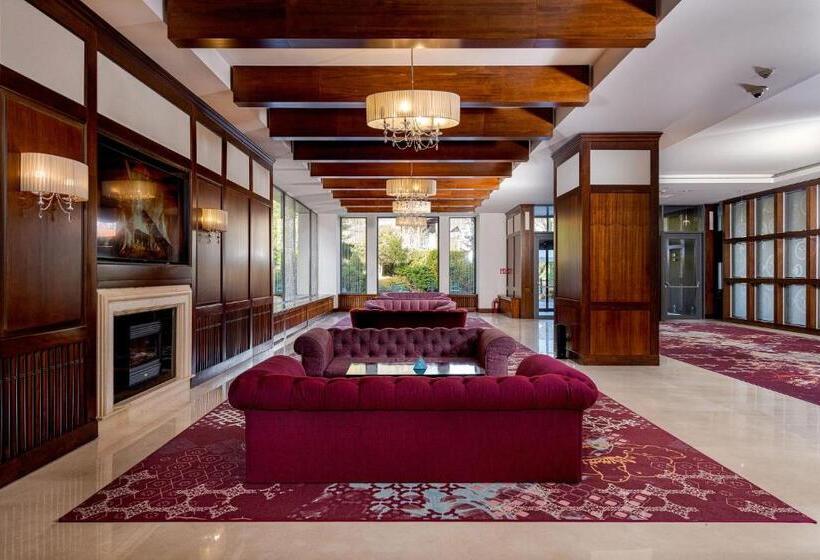 בית מלון כפרי International