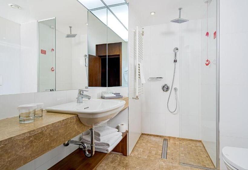 בית מלון כפרי International