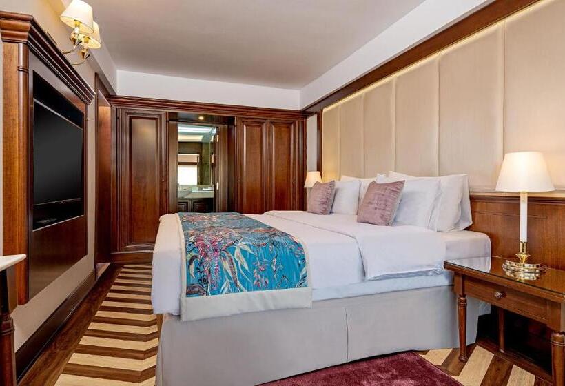 בית מלון כפרי International