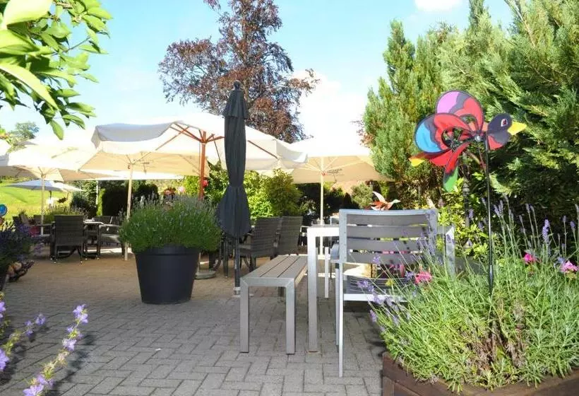 Отель Sarbacher