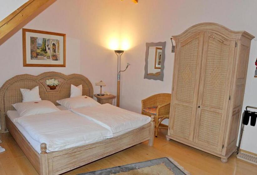 Hotel Sarbacher