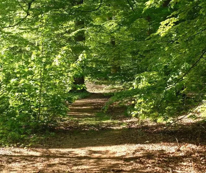 Parkhotel De Bosrand