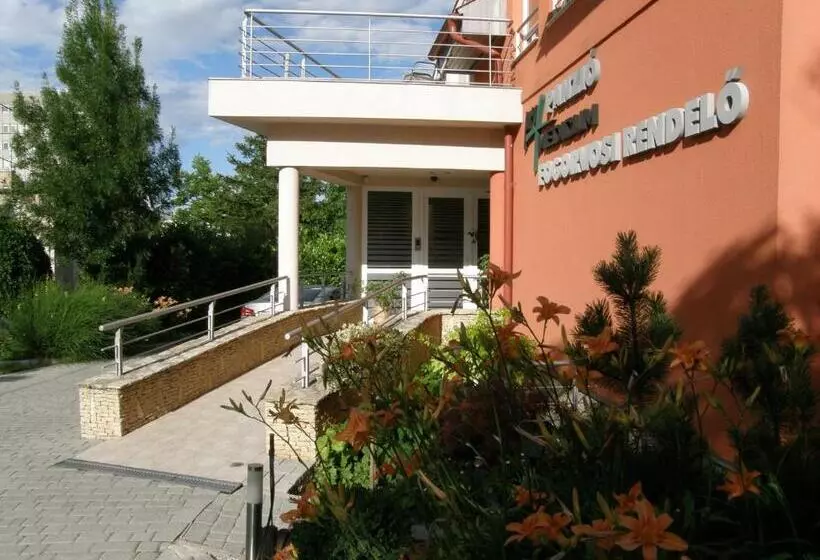 بنسيون Promedicum Panzio