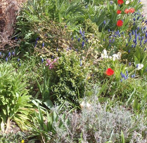 Penzion Villa Marion