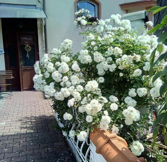 Penzion Villa Marion