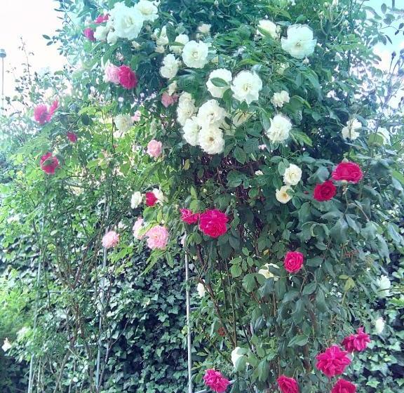 Penzion Villa Marion