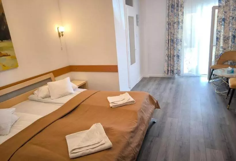 Pensiunea Vila Chesa
