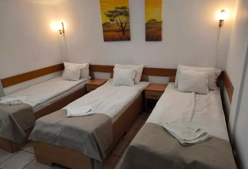Pensiunea Vila Chesa