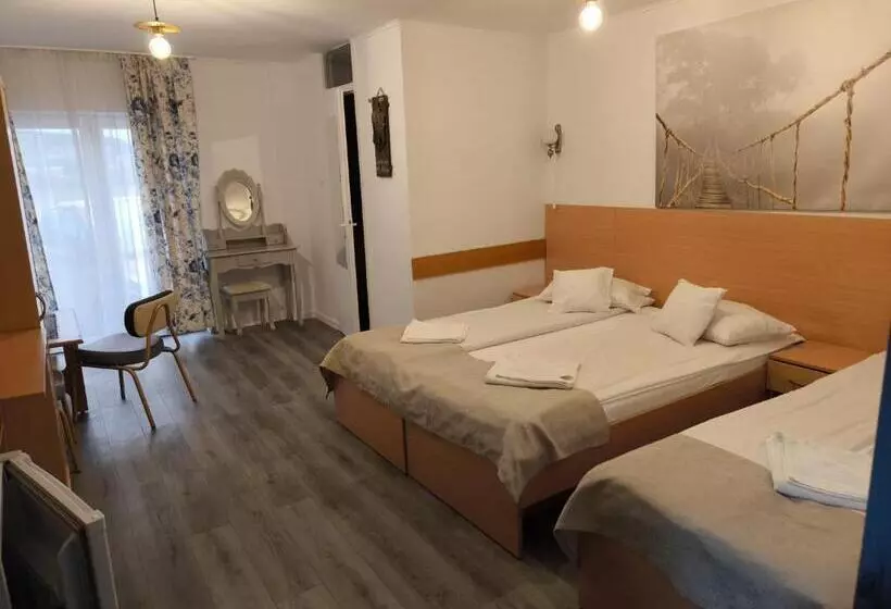 Pensiunea Vila Chesa