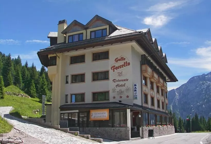 Biker Hotel Al Gallo Forcello