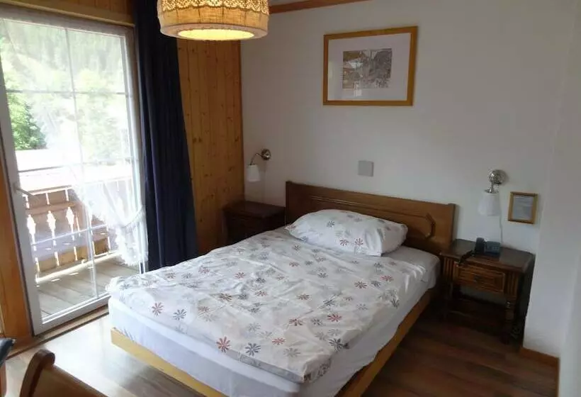 Chalet Hotel Adler Ag