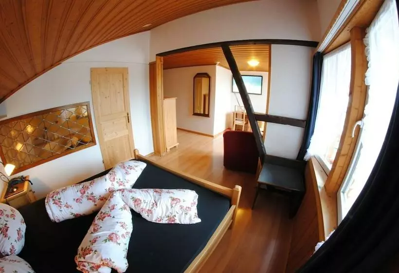 Chalet Hotel Adler Ag