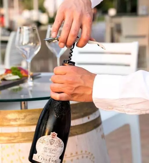 فندق Aquila D Oro Desenzano