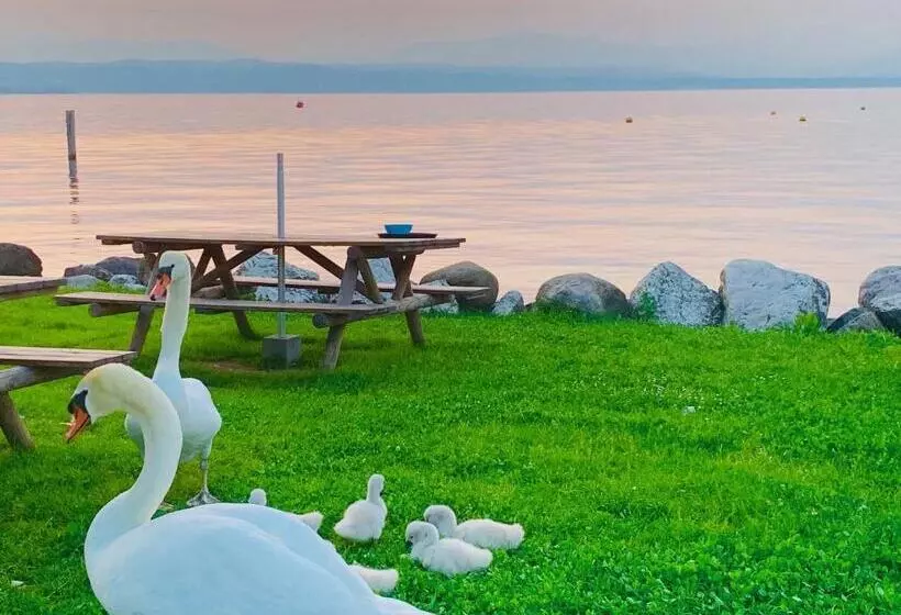 فندق Aquila D Oro Desenzano