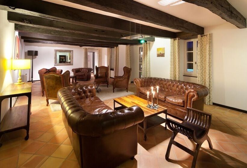 酒店 Château De Longcol