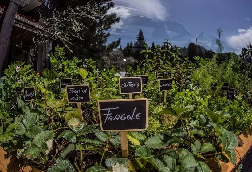 호텔 Ciasa Salares