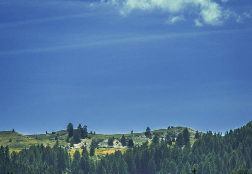 Отель Ciasa Salares