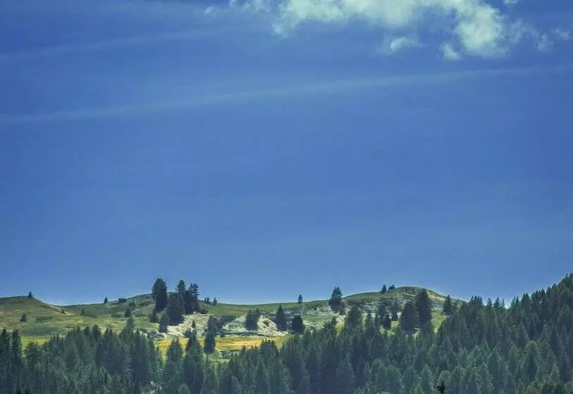 호텔 Ciasa Salares