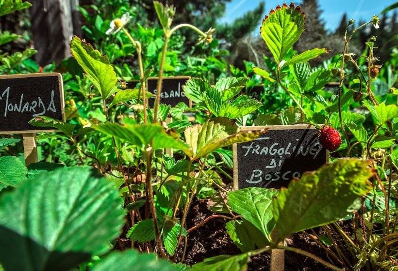 Отель Ciasa Salares