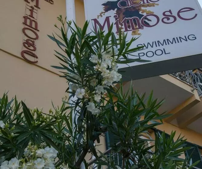 Otel Delle Mimose