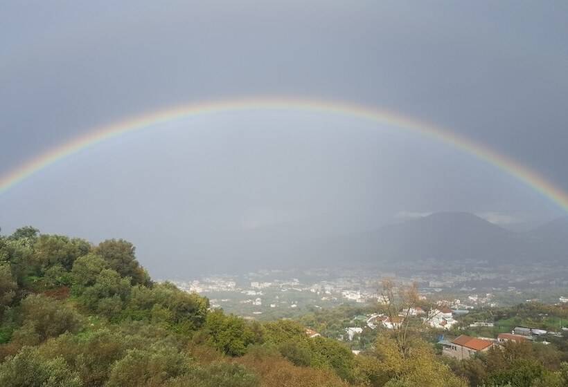 בית מלון כפרי Gli Ulivi Agriturismo