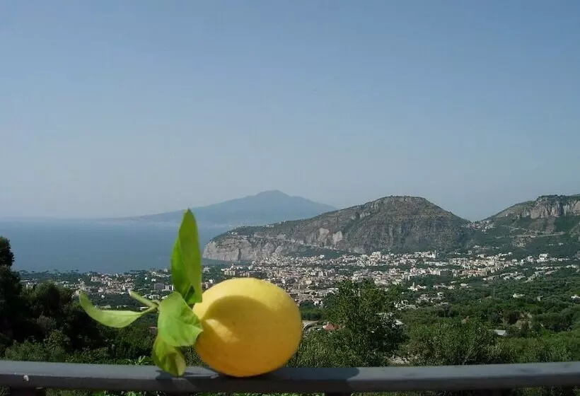 Отель Gli Ulivi Agriturismo