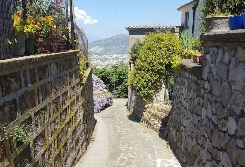 Отель Gli Ulivi Agriturismo