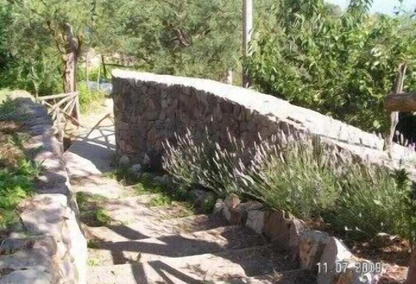 בית מלון כפרי Gli Ulivi Agriturismo