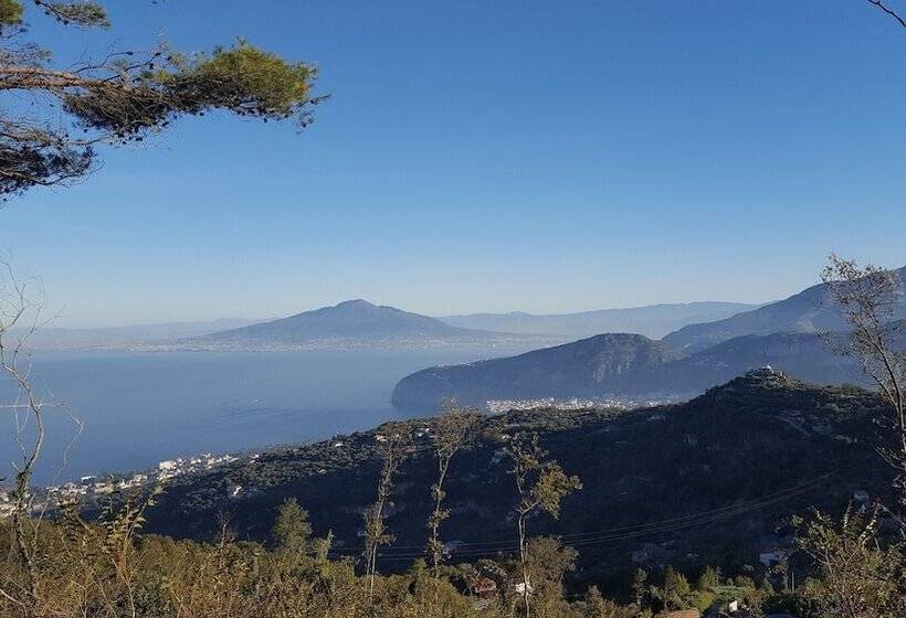 בית מלון כפרי Gli Ulivi Agriturismo