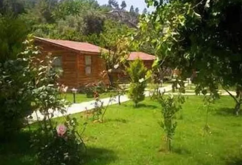 هتل Hidden Garden