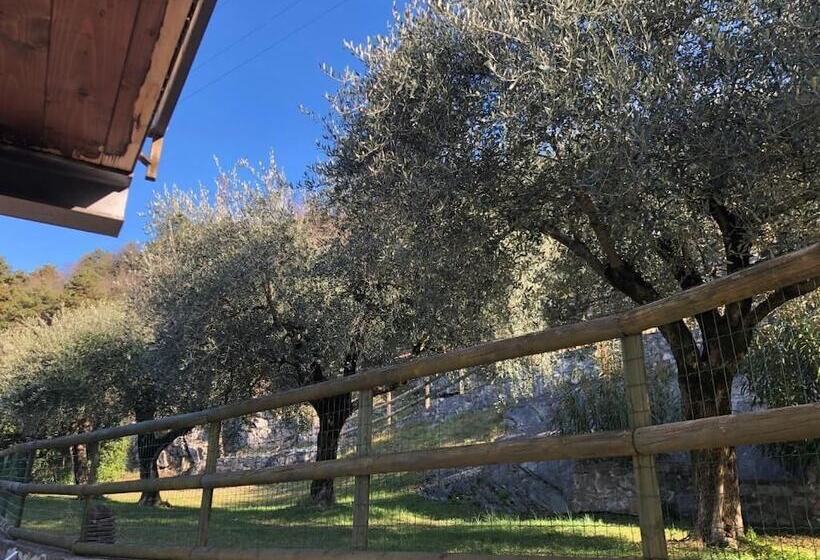 בית מלון כפרי Isola Verde