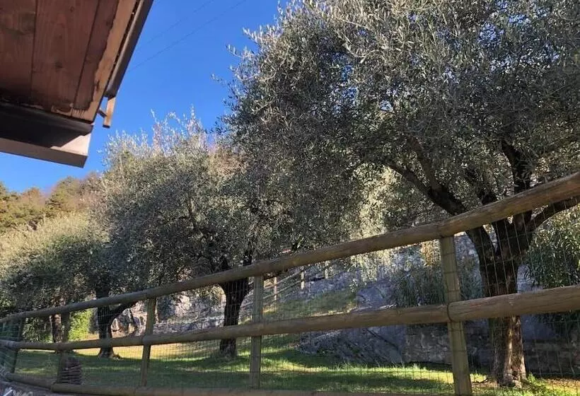 Отель Isola Verde