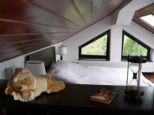 ペンション Drachenhaus Poiana Brasov