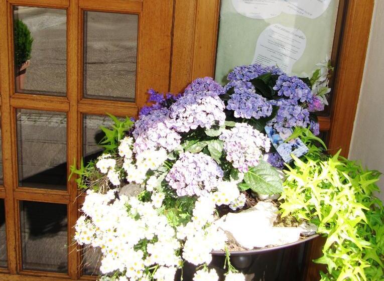 膳宿费 Gasthof Am Selteltor