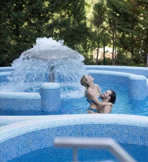 Thermal Hotel Visegrád