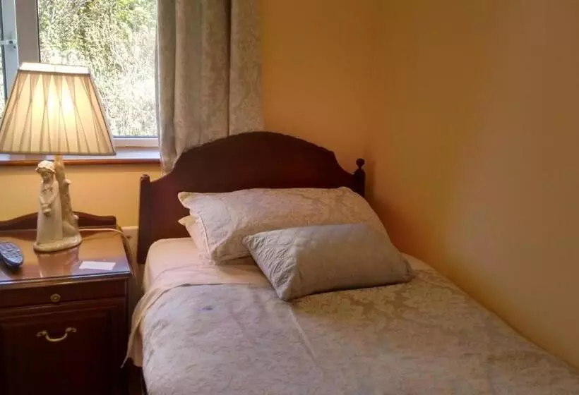 ベッドアンドブレックファースト Corrib View Guesthouse H91rr72