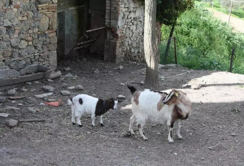 酒店 Fattoria San Donato