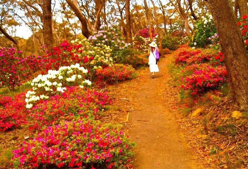 فندق Gardners Inn