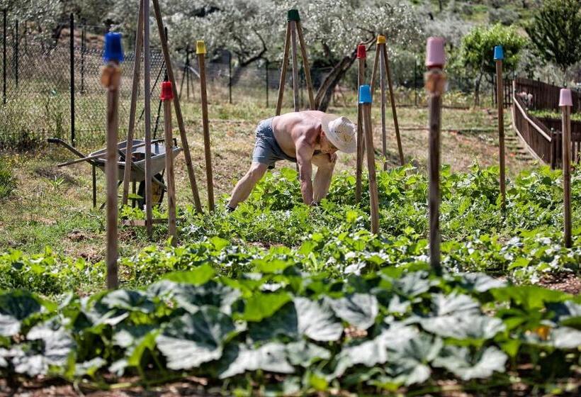 ホテル La Macchia