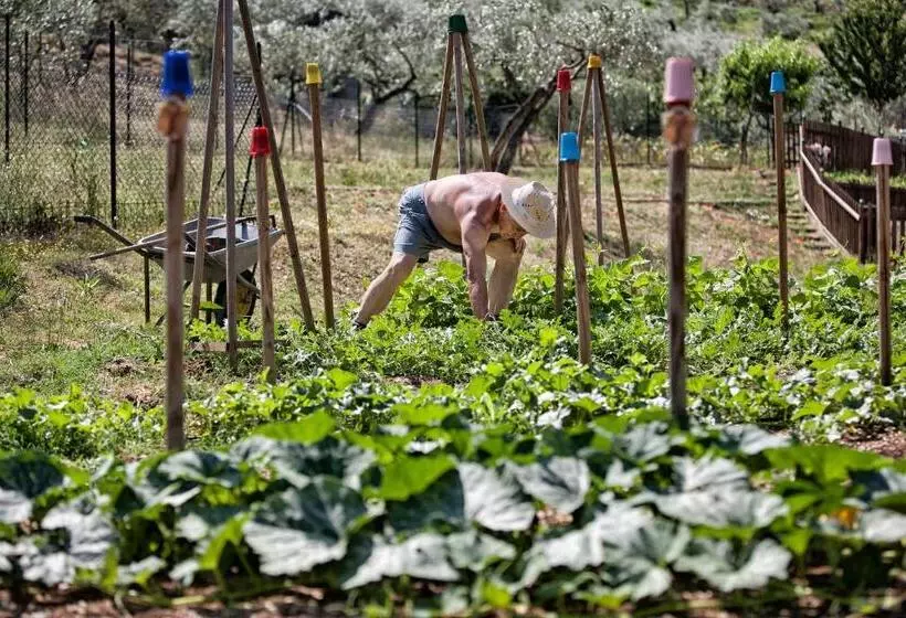 ホテル La Macchia