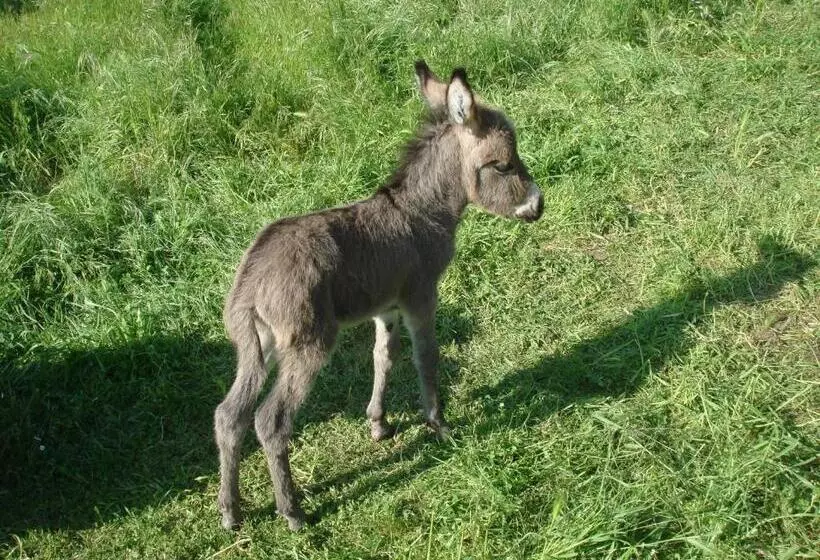 ホテル La Macchia