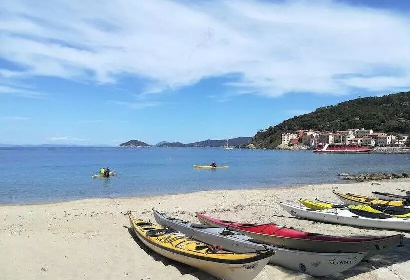 בית מלון כפרי Yacht Club