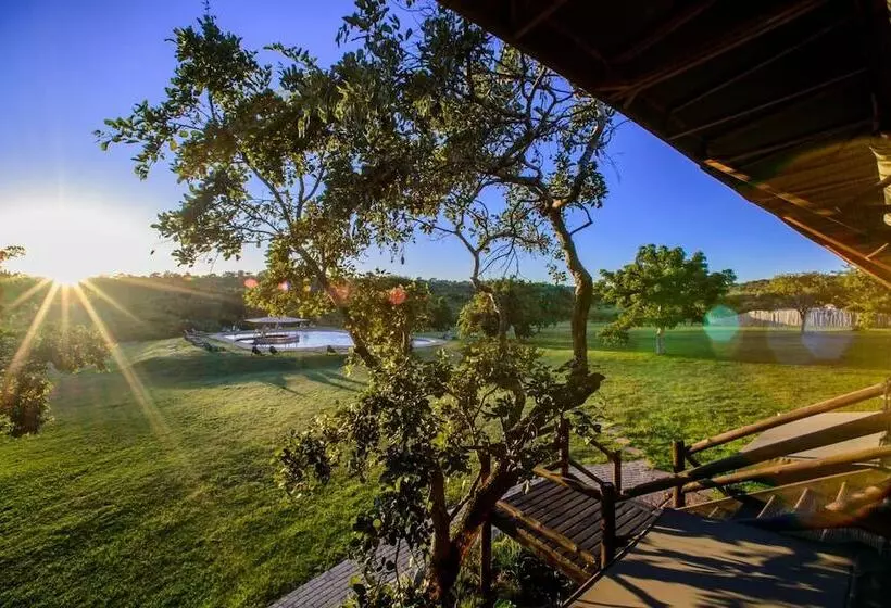 Nkambeni Safari Camp